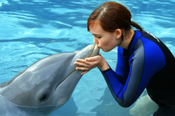 swim with dolphins Miami seaquarium adventure wildlife