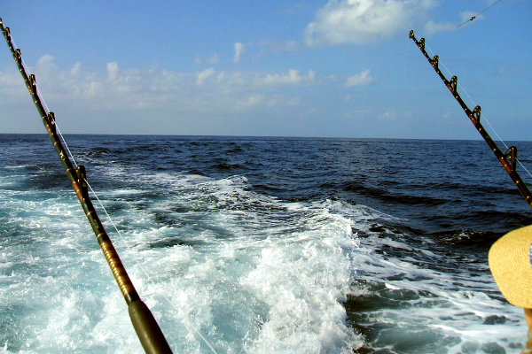 deep sea fishing fish Miami Florida Atlantic Ocean tropical 