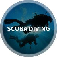 Find Scuba Diving, Scuba Certification & Diving Centers