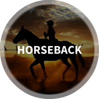 Find Horseback Friendly Trails, Horse Stables & Training Centers, Shops & Horseback Riding Groups